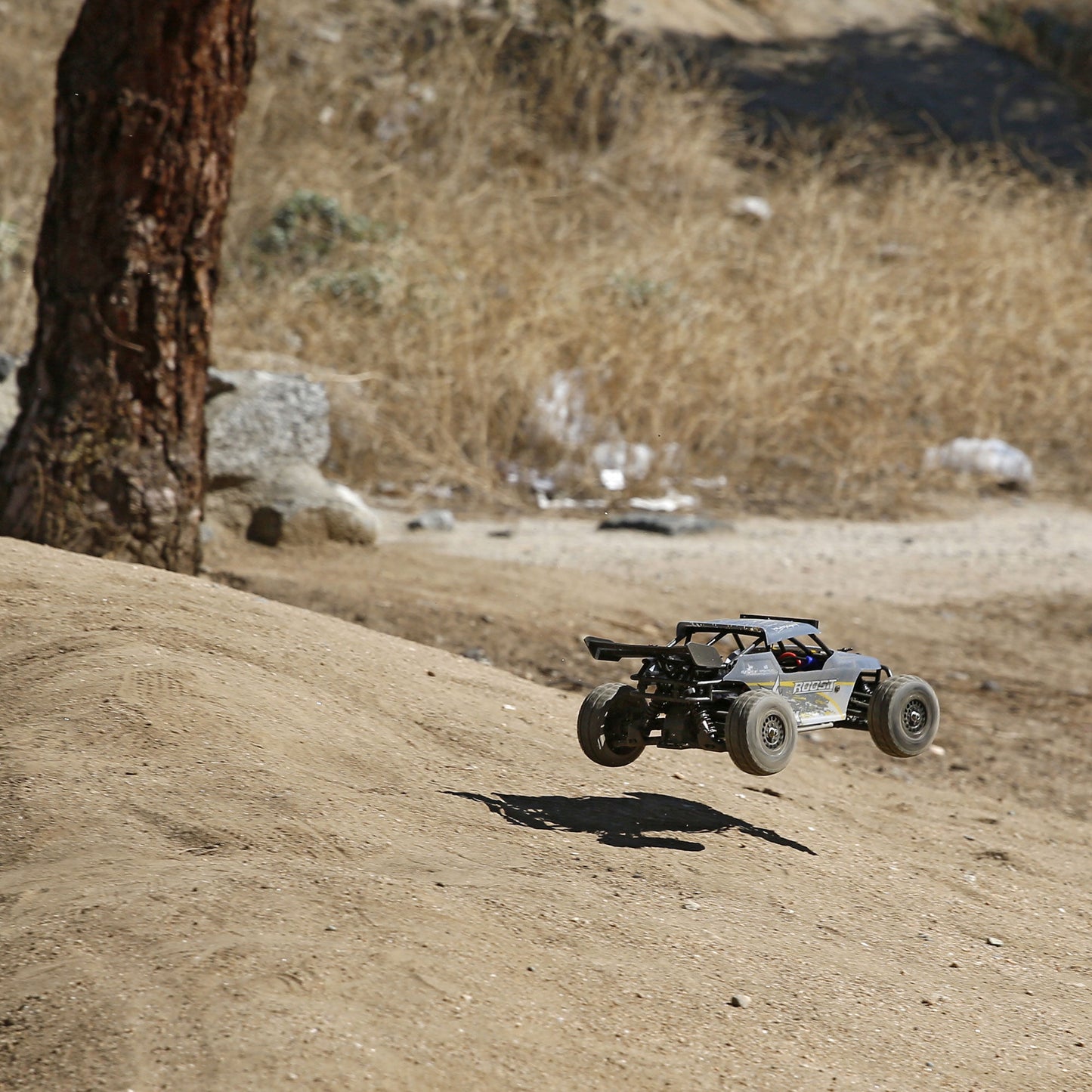 ECX 1/18 Roost 4WD Desert Buggy RTR, Grey/Yellow INT