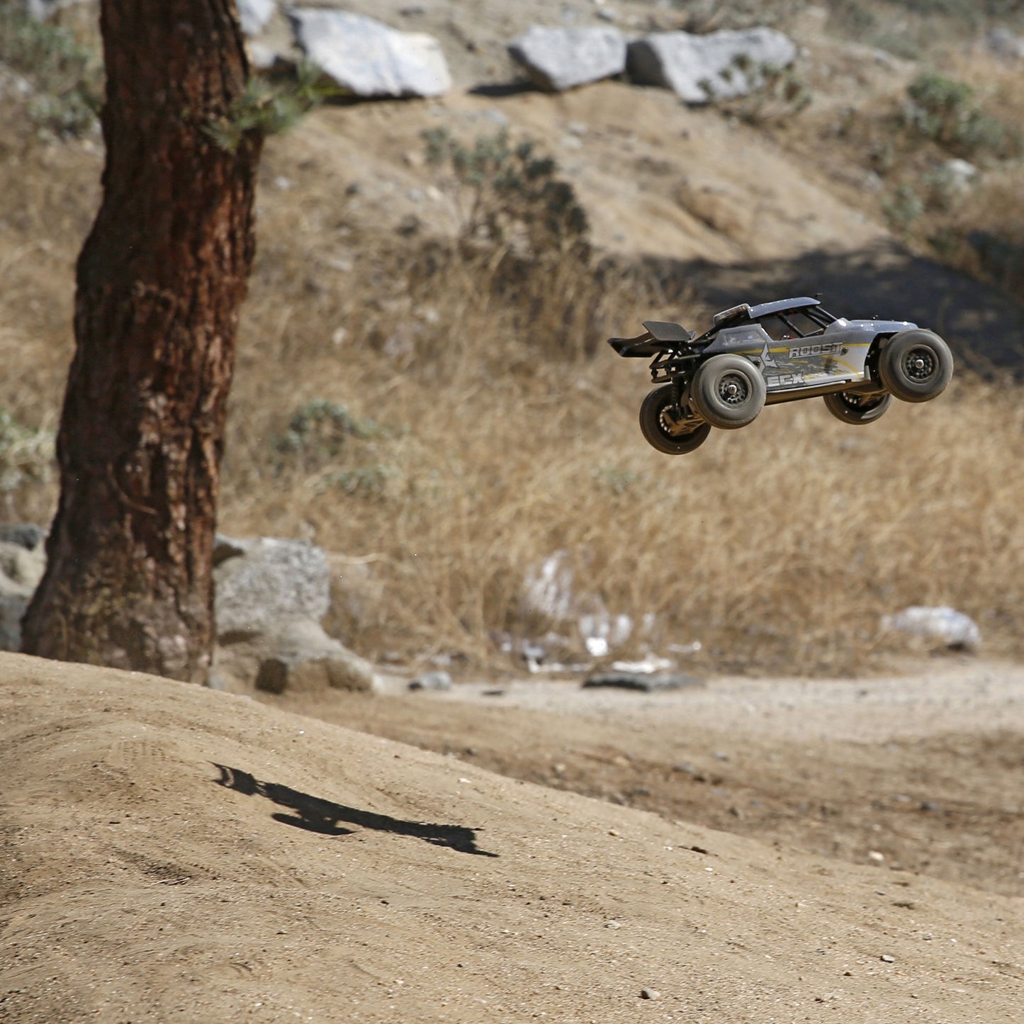 ECX 1/18 Roost 4WD Desert Buggy RTR, Grey/Yellow INT