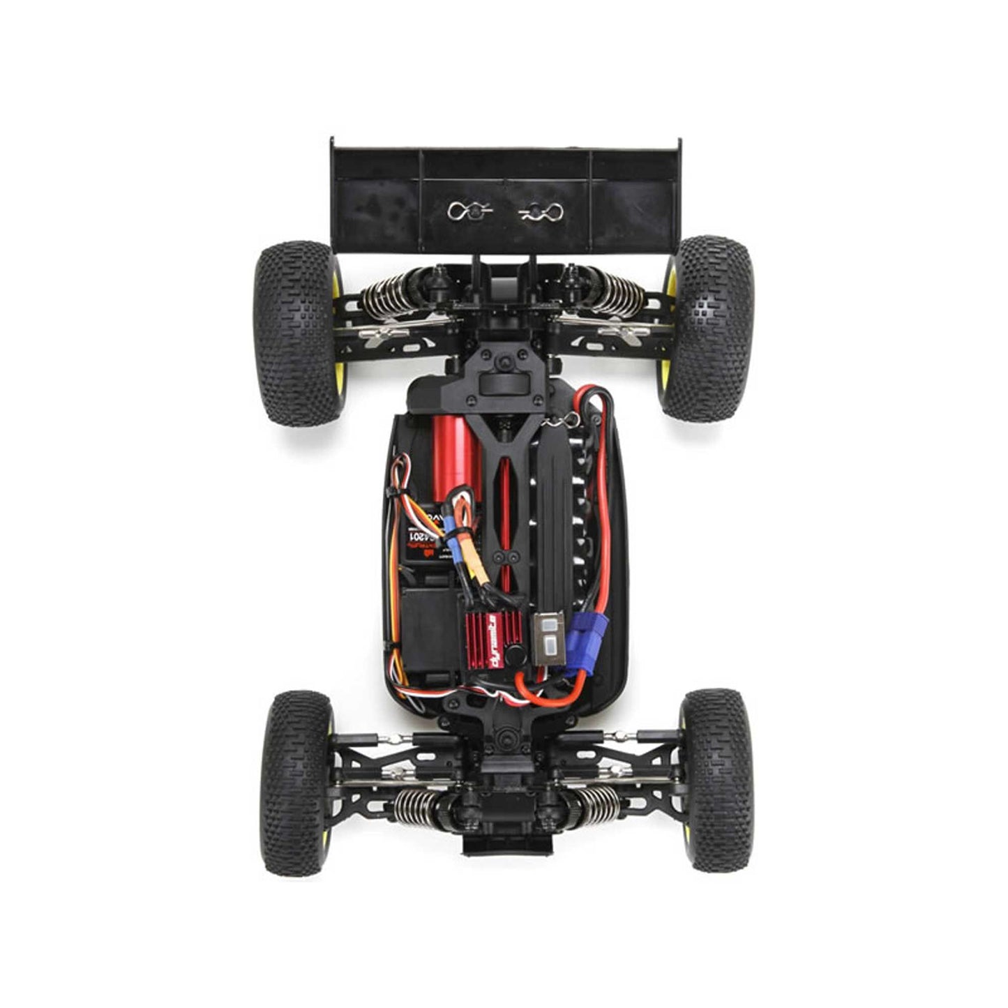 Losi 1/14 Mini 8IGHT 4WD Buggy RTR with with AVC, Blue (International)