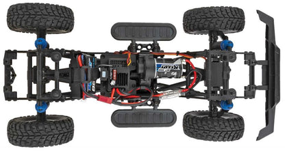 Team Associated - Enduro12 Trail Truck, Ecto RTR