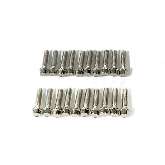 M2.5X10mm Scale Hex Bolts (20)